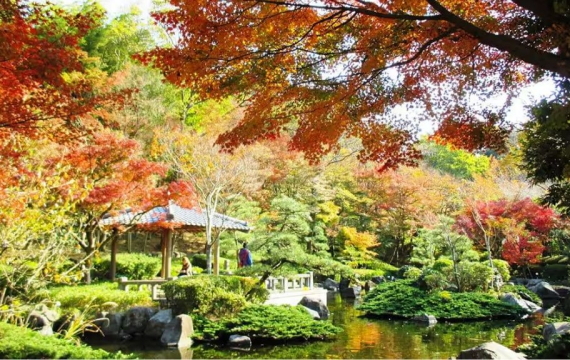 Autumn Walk: Oiso Joyama Park